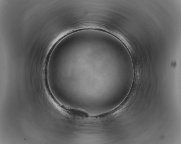 X0000090931142200707301549