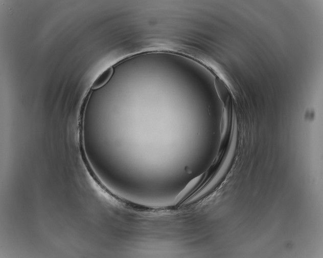 X0000090931143200707301549
