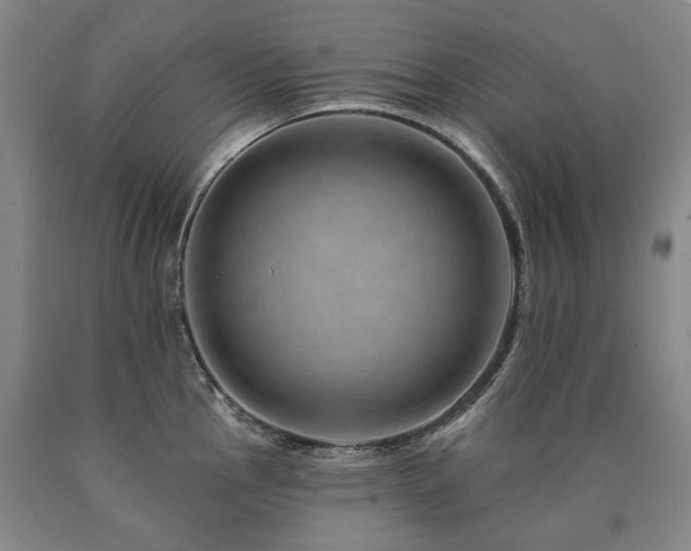 X0000090931145200707301549