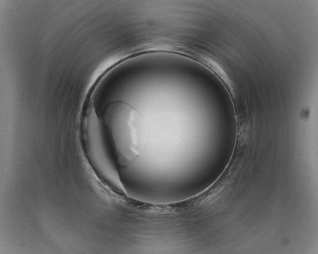 X0000090931146200707301549
