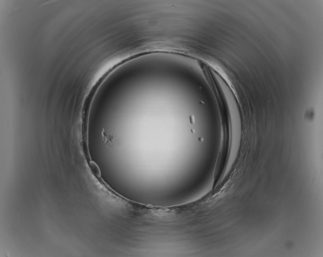 X0000090931147200707301549