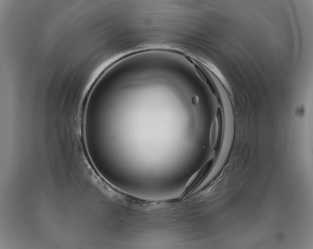X0000090931148200707301549
