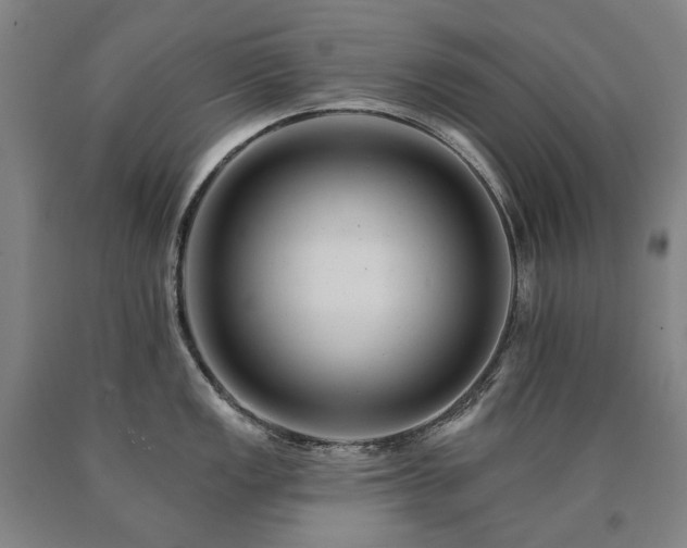 X0000090931149200707301549
