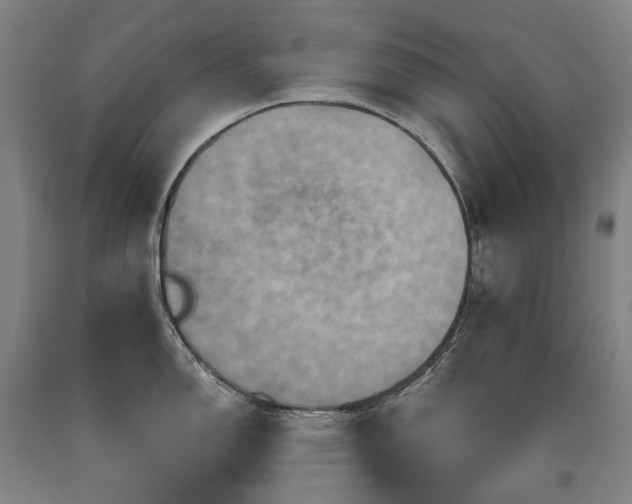 X0000090931150200707301549