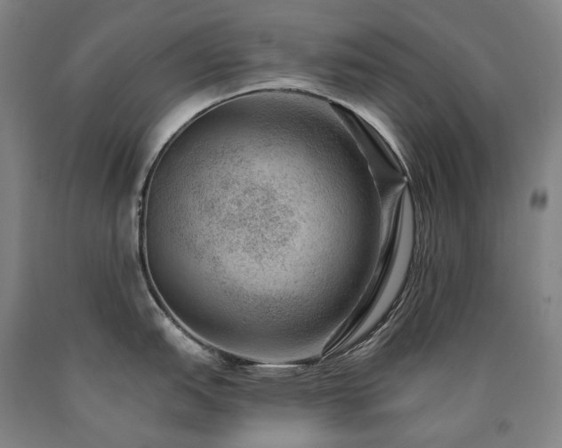X0000090931151200707301549