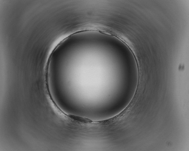 X0000090931152200707301549