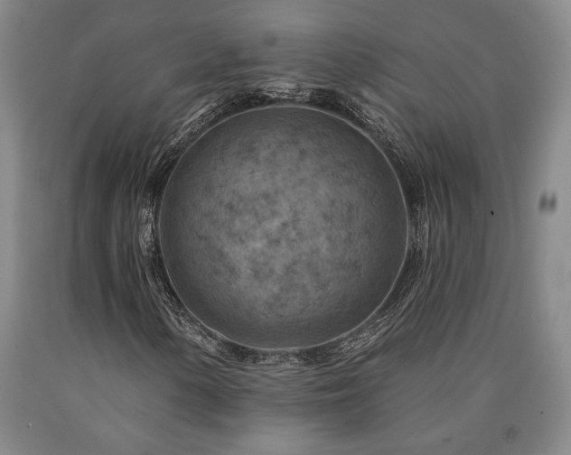 X0000090931154200707301548