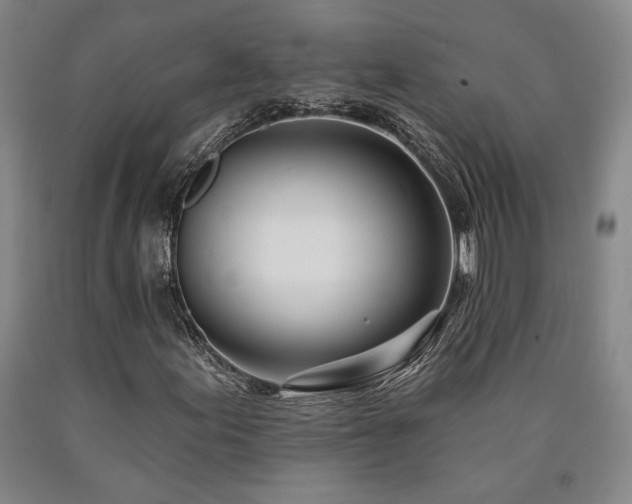 X0000090931155200707301548