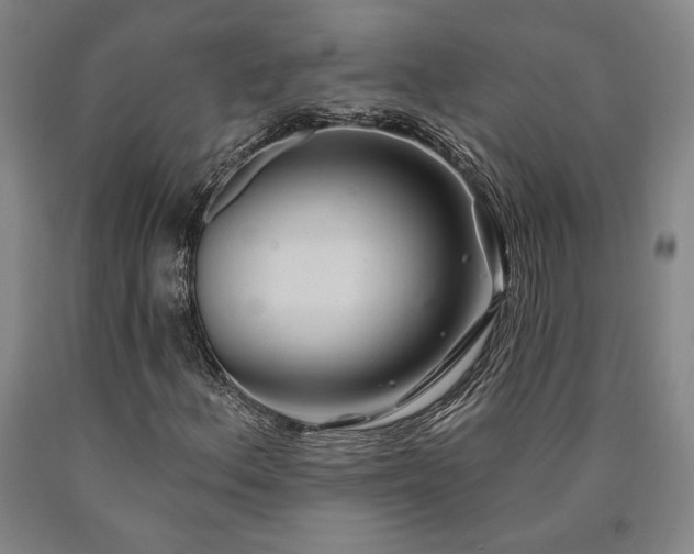 X0000090931156200707301548