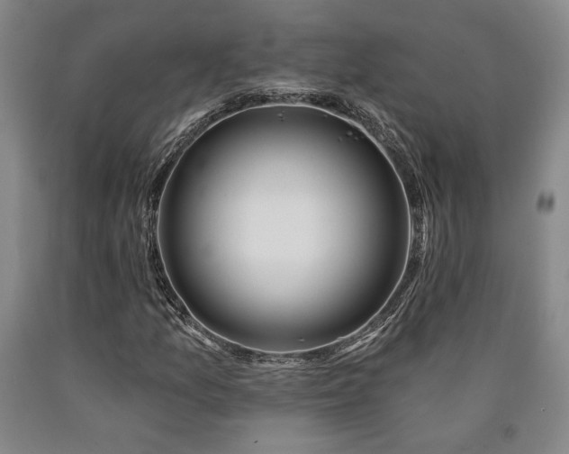 X0000090931157200707301548