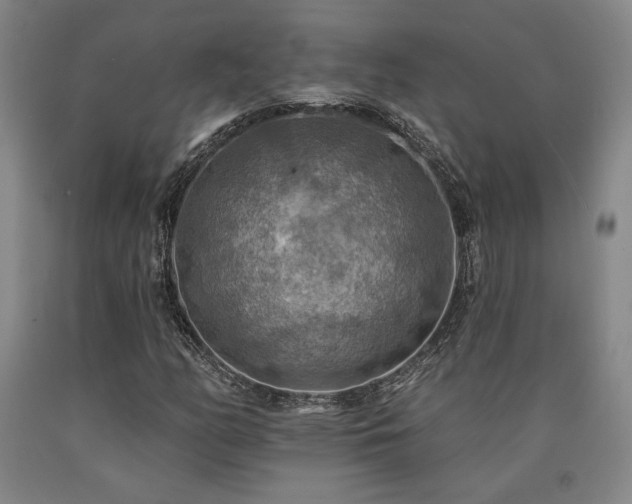 X0000090931158200707301548