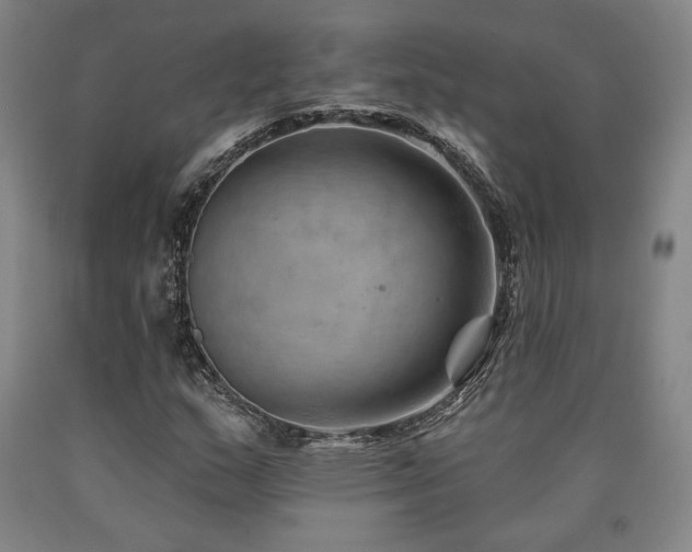 X0000090931159200707301548