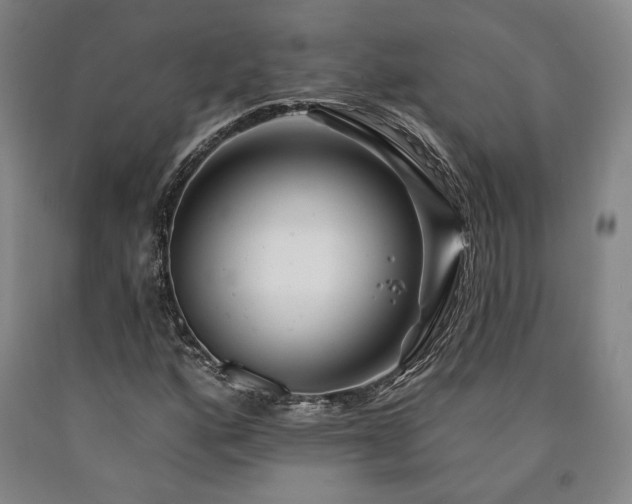 X0000090931160200707301548