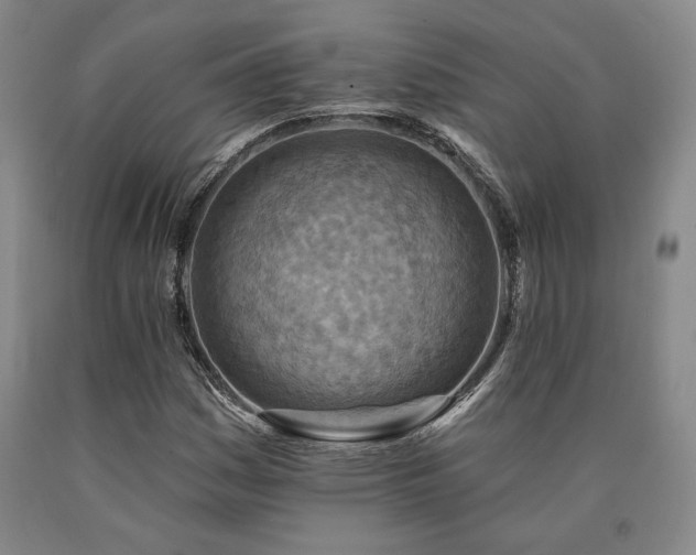 X0000090931161200707301548