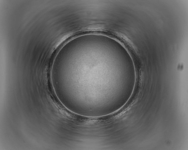 X0000090931162200707301548