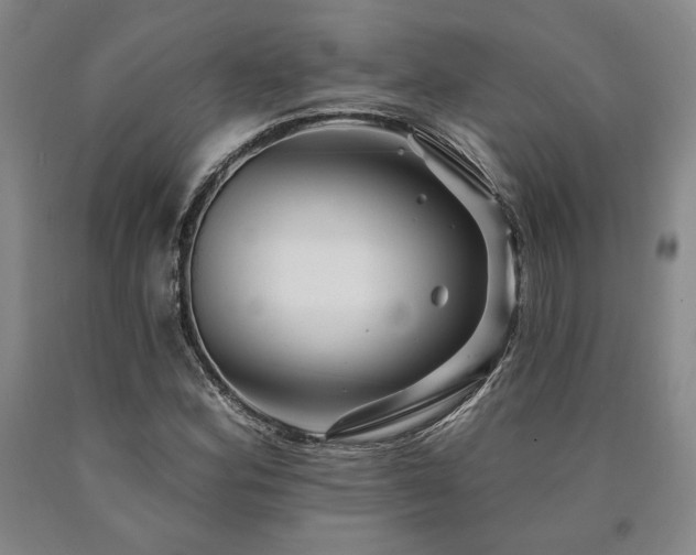 X0000090931164200707301548