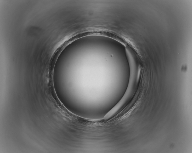 X0000090931165200707301548