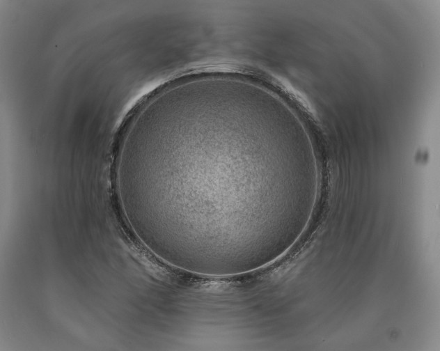 X0000090931166200707301548