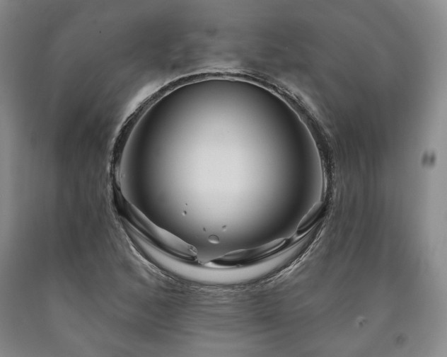 X0000090931168200707301548