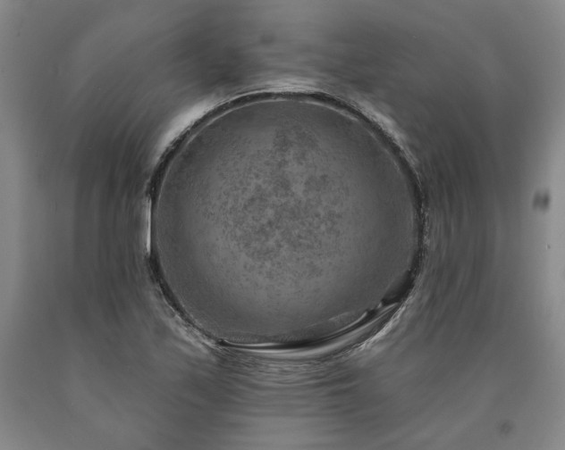 X0000090931171200707301548