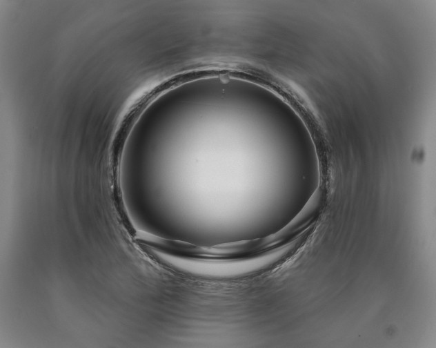 X0000090931172200707301548