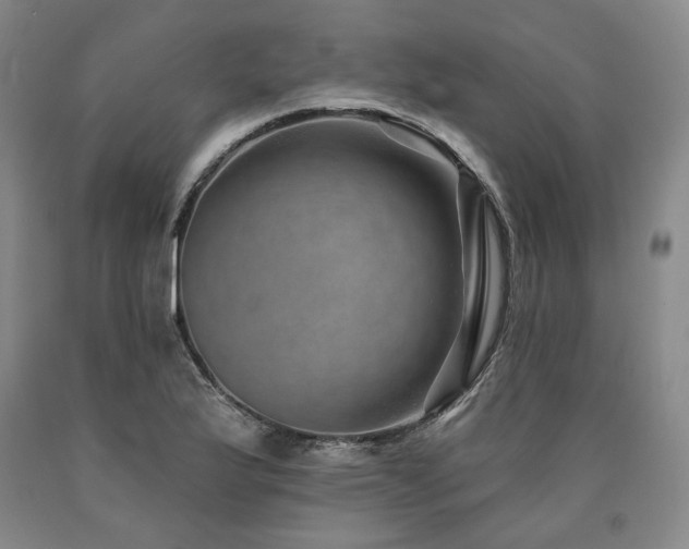 X0000090931175200707301548