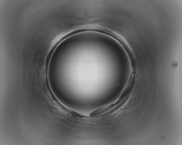 X0000090931176200707301548