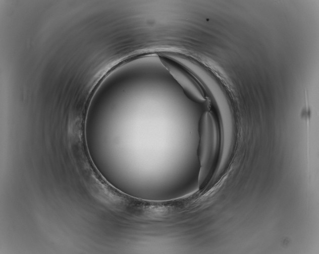 X0000090931177200707301548