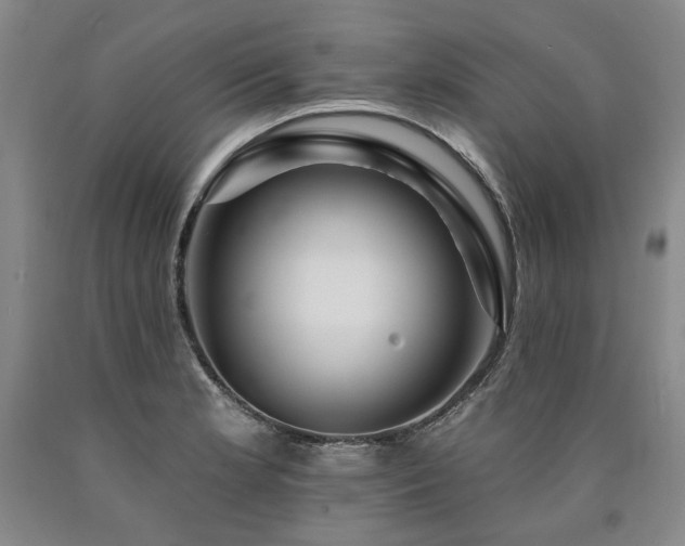 X0000090931181200707301548