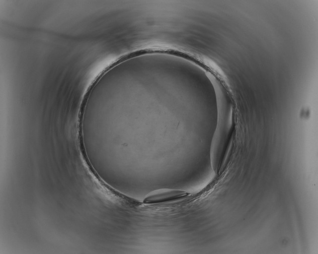 X0000090931183200707301548