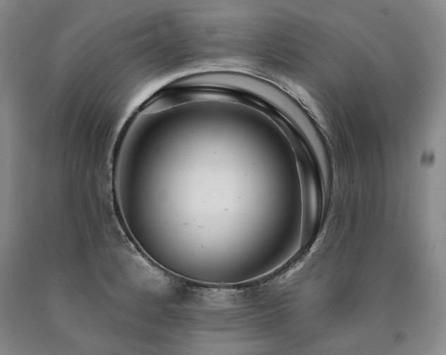X0000090931184200707301548