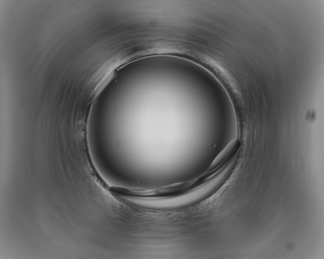 X0000090931185200707301548