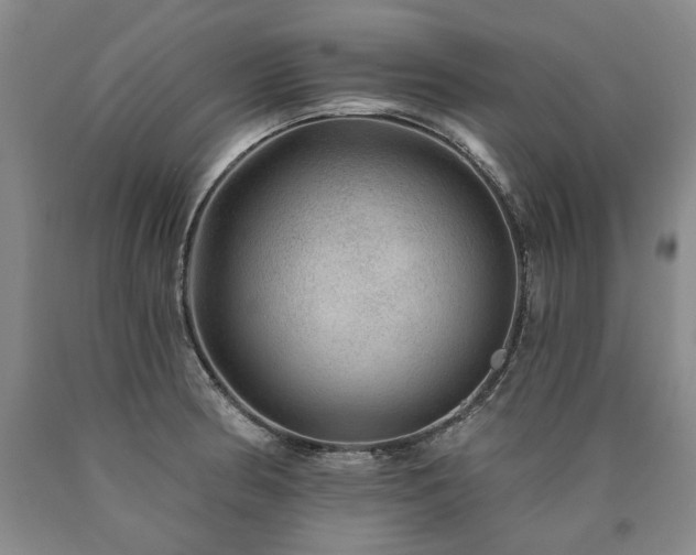 X0000090931186200707301548