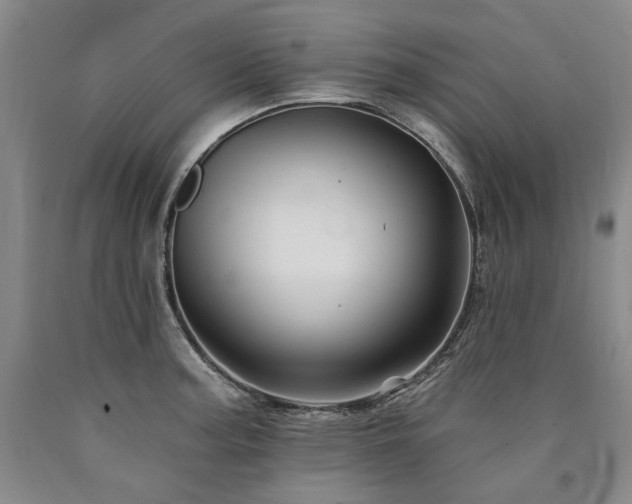 X0000090931187200707301548
