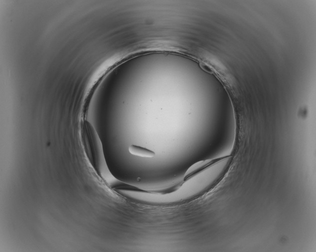 X0000090931188200707301548