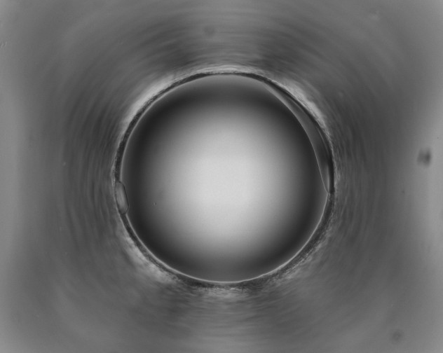 X0000090931189200707301548