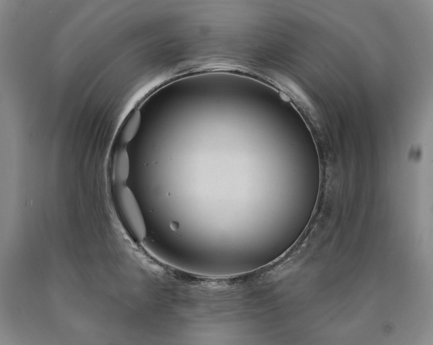 X0000090931190200707301548