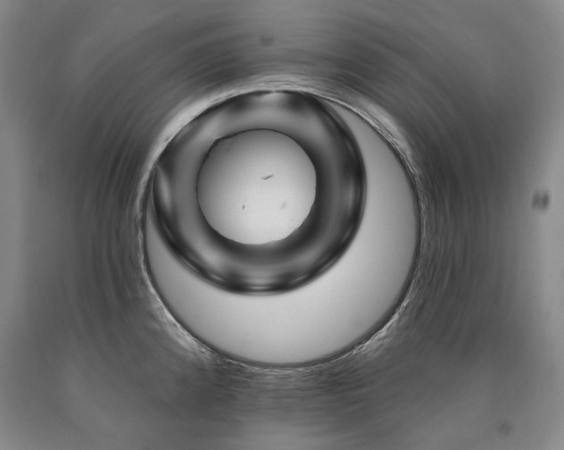 X0000090931192200707301548
