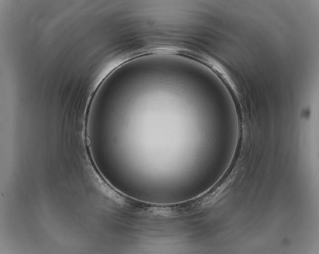 X0000090931194200707301547