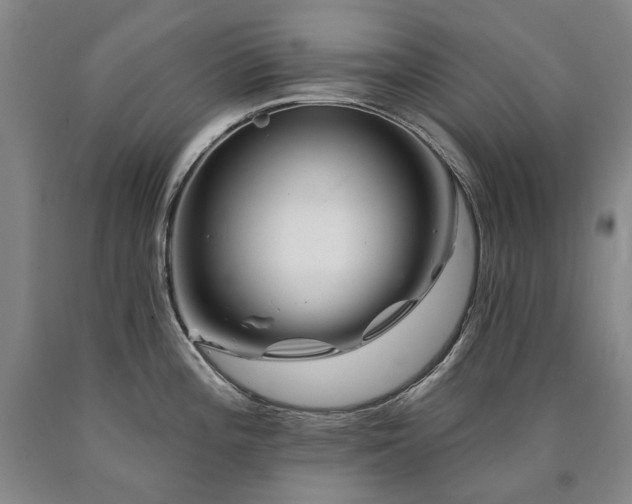 X0000090931196200707301547