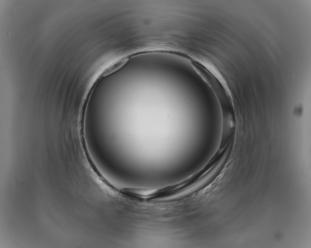 X0000090931197200707301547