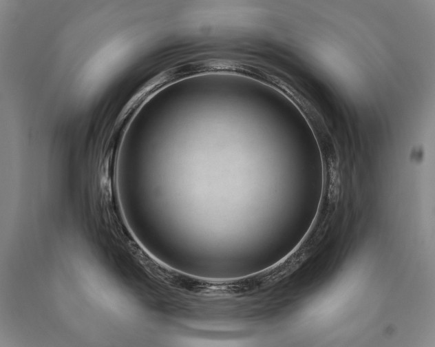 X0000090931198200707301547