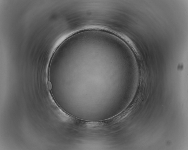 X0000090931199200707301547