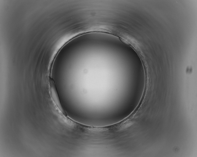 X0000090931200200707301547