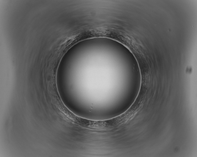 X0000090931201200707301547