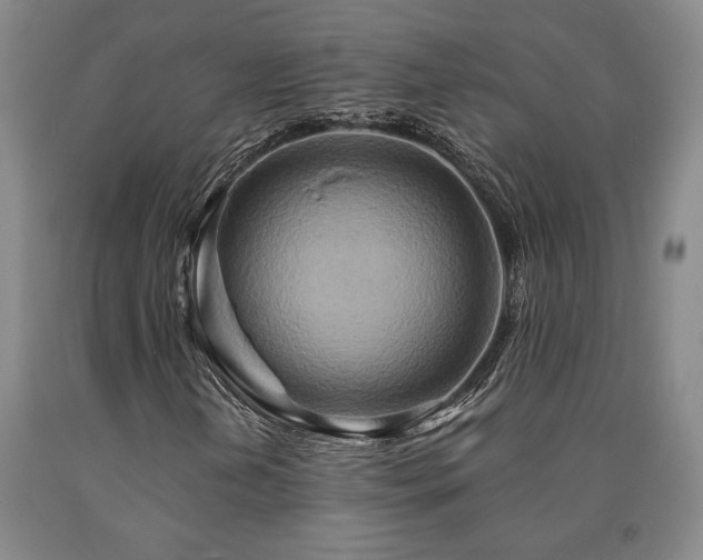 X0000090931202200707301547