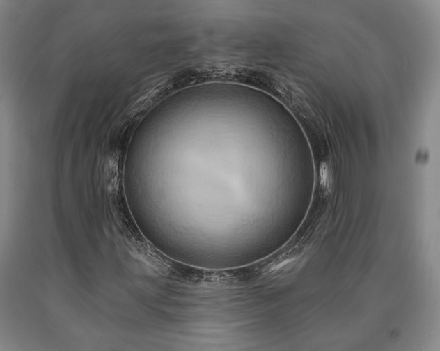 X0000090931203200707301547