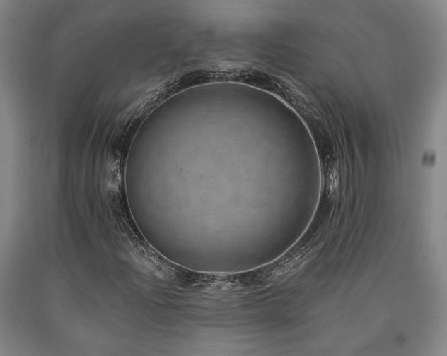 X0000090931204200707301547