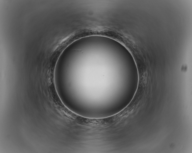 X0000090931205200707301547
