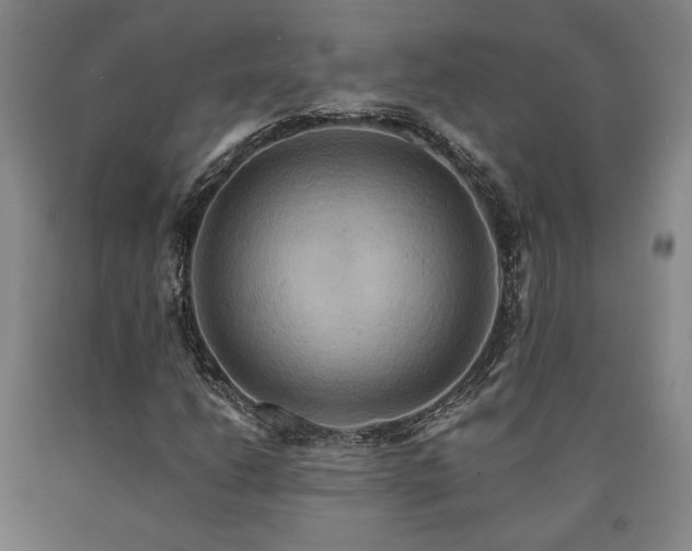 X0000090931206200707301547